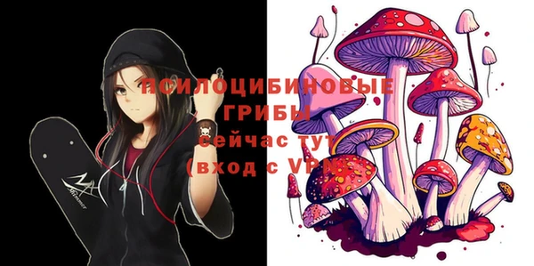 ECSTASY Россошь