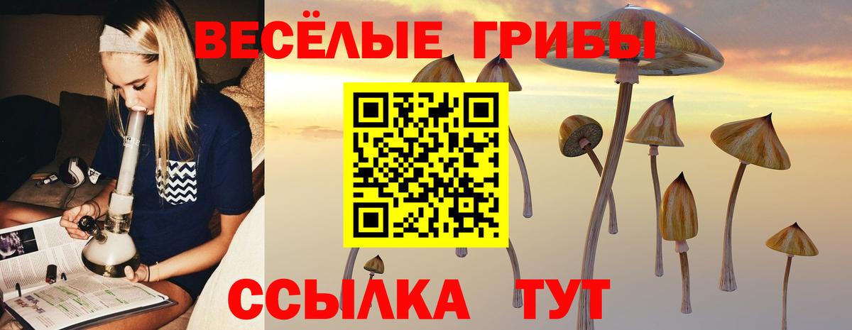 Алапаевск  Псилоцибиновые грибы мухоморы  Галлюциногенные грибы Magic Shrooms  где купить наркоту  Вход с VPN 
