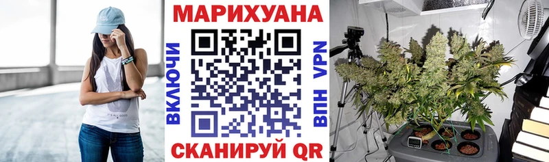 где продают   Алапаевск  Канабис план 
